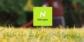 different forms of nitrogen fertilizer